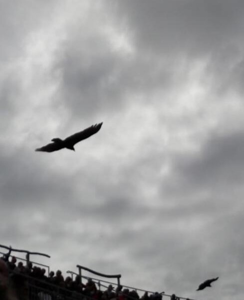 Dérèglement politique